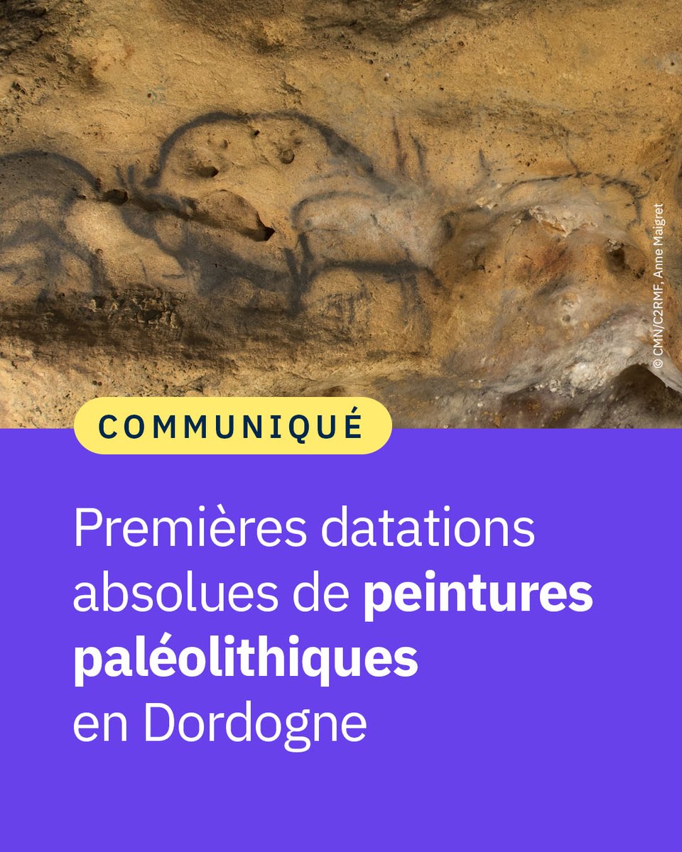#Communiqué 🗞️ Une équipe a enfin confirmé l’âge des peintures de la grotte de Font-de-Gaume, jusque-là indatable au carbone 14, comme celles de Lascaux. 🦣

👉 cnrs.fr/fr/presse/prem…