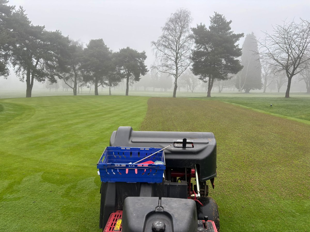 Chris Low tweet media