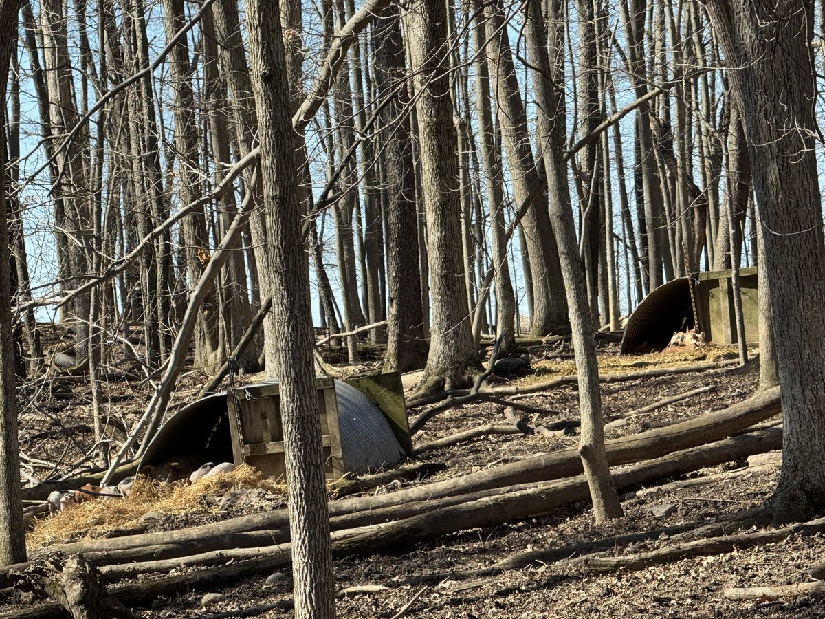 Greg Gunthorp tweet media