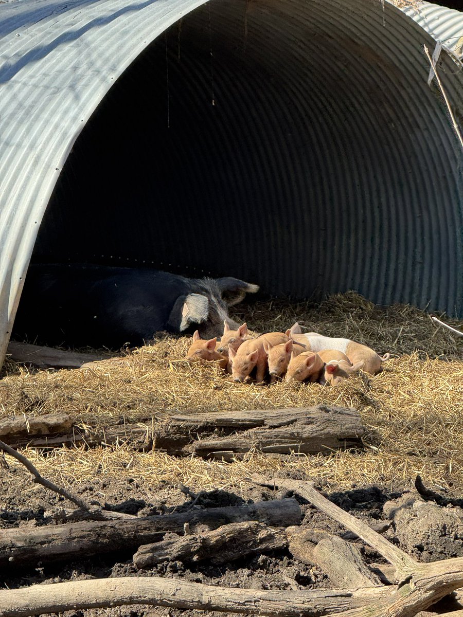 Greg Gunthorp tweet media