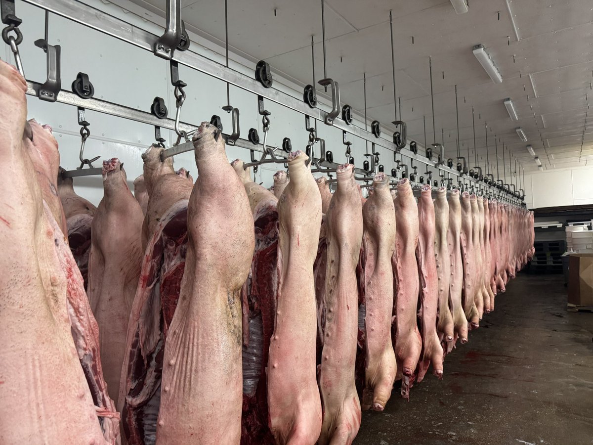 Greg Gunthorp tweet media