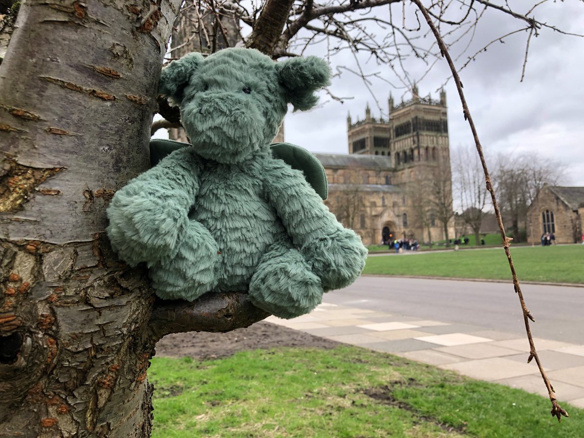 County Durham Libraries tweet media