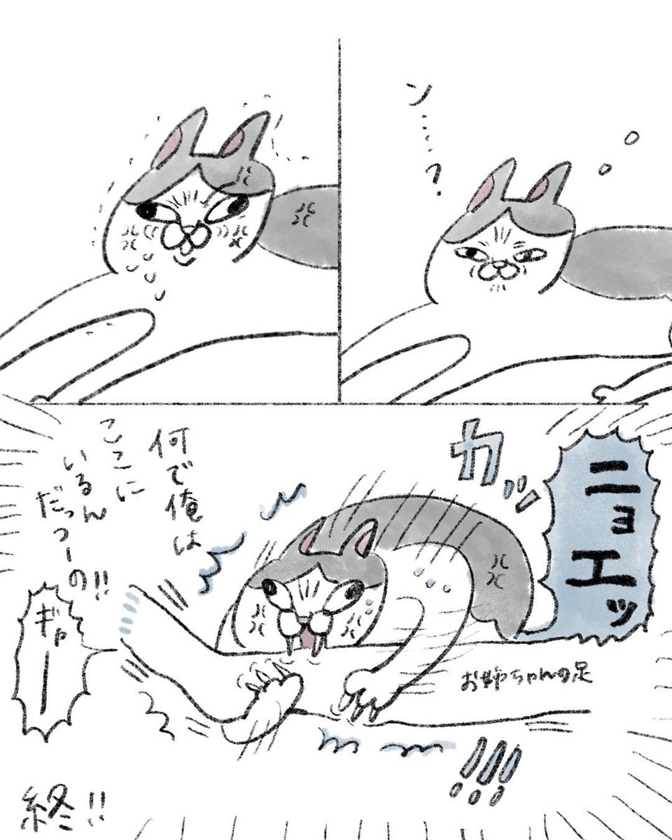 のなか海　書籍発売😽 tweet media