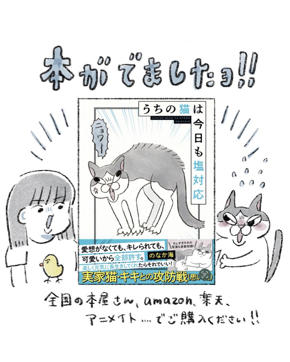 のなか海　書籍発売😽 tweet media