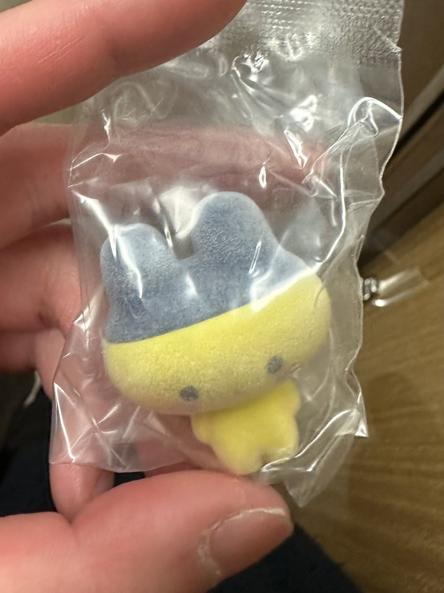 愛花🌻 tweet media