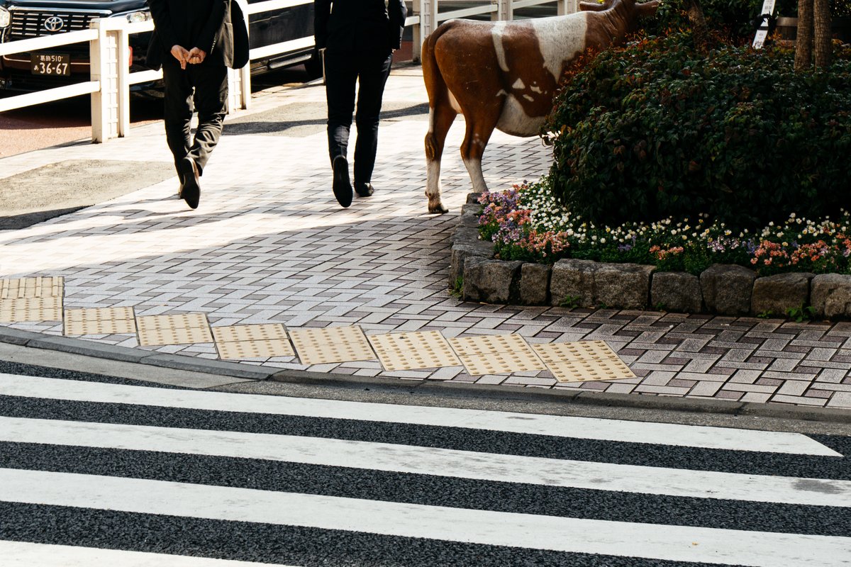 Kouji Tomihisa tweet media