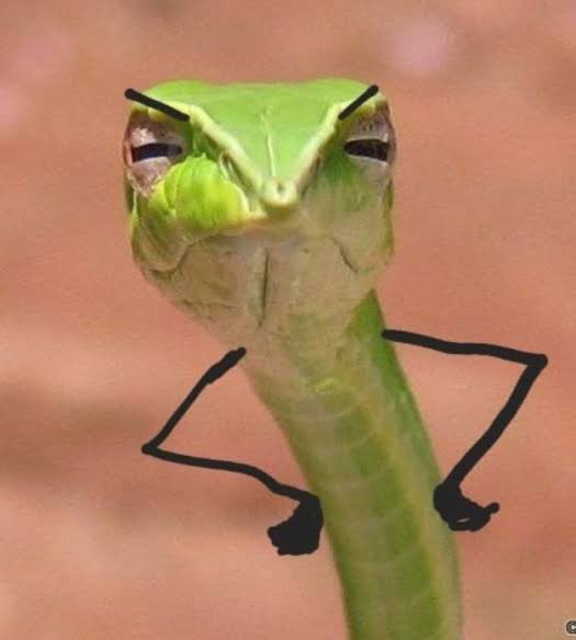 ค่อนข้างจะเหมือนมาก5555555

THOMAS MAYBELLINE LUMIMATTE
#MNYxThomas