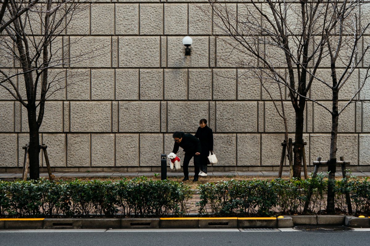 Kouji Tomihisa tweet media