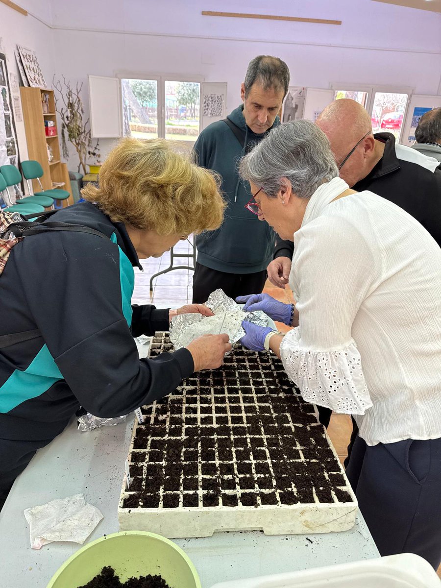 DeRhuam's tweet photo. Ya hemos preparado los semilleros con los huertos de ocio del centro de @mostoleseducacionambiental  del parque Finca Liana! Ahora toca cuidar y esperar con paciencia a que crezcan nuestras plantitas ☺️🌱
@sistemasmedioambientales 
@ayto_mostoles
#huertosurbanos
#huertosdelaRhuam https://t.co/tST3mp4B8f