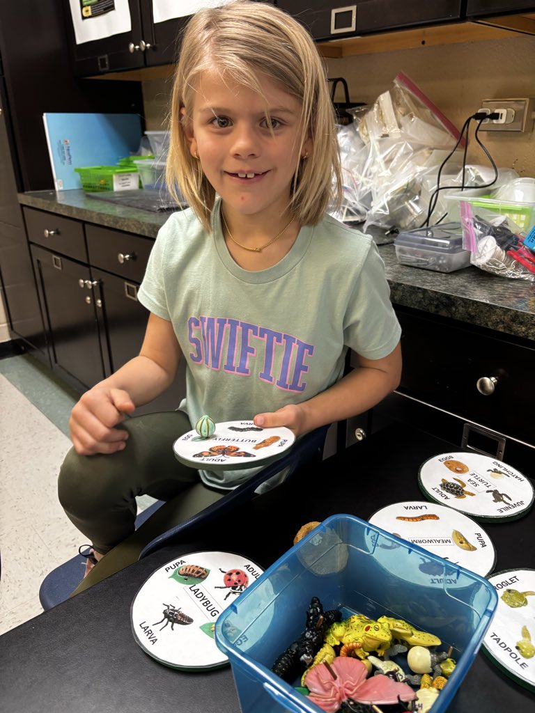 Alison Lieblich tweet media