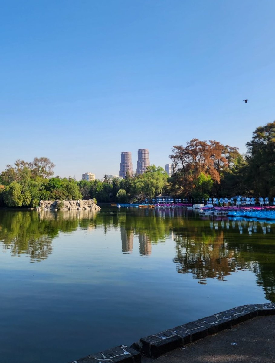 Liliana 𝕏 T 🤍🖤 tweet media