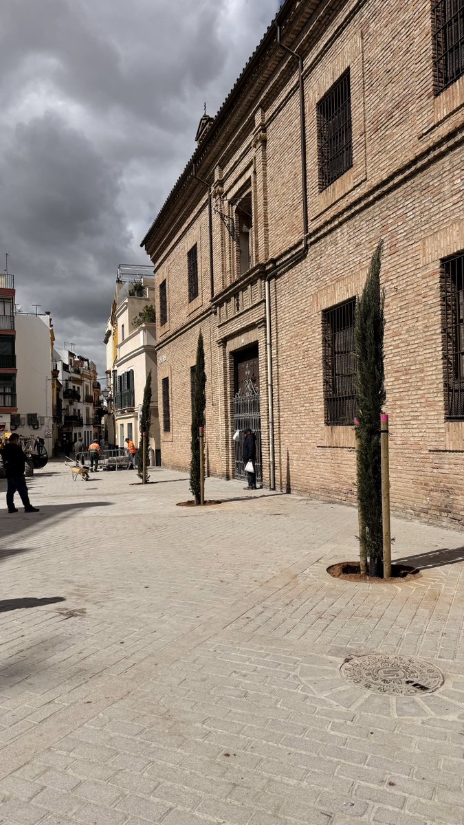 Carlos Rocha tweet media