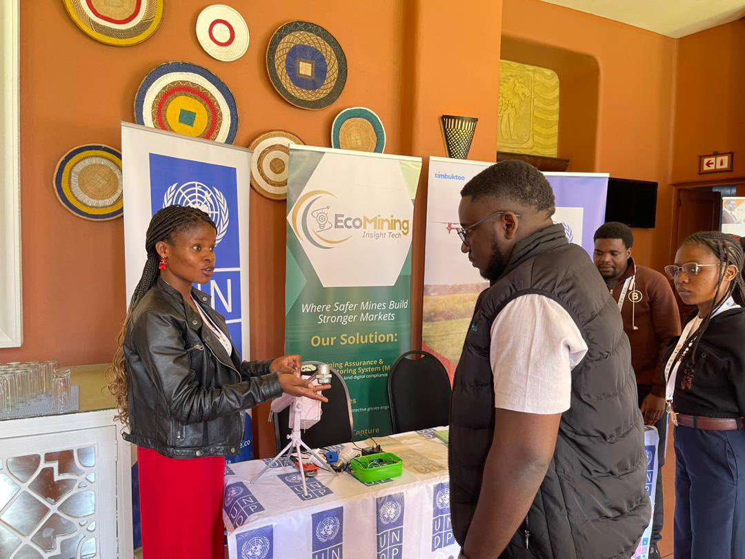 UNDP Zambia tweet media