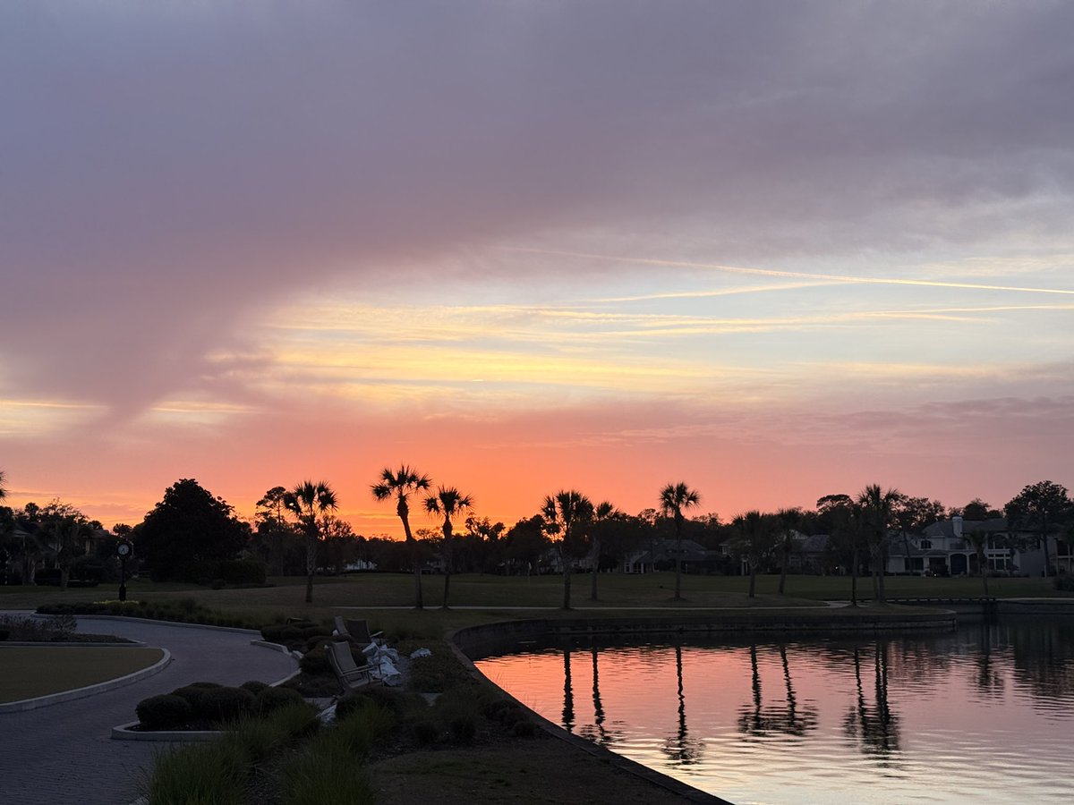 Johnny Hickey🐊 🇺🇸 tweet media
