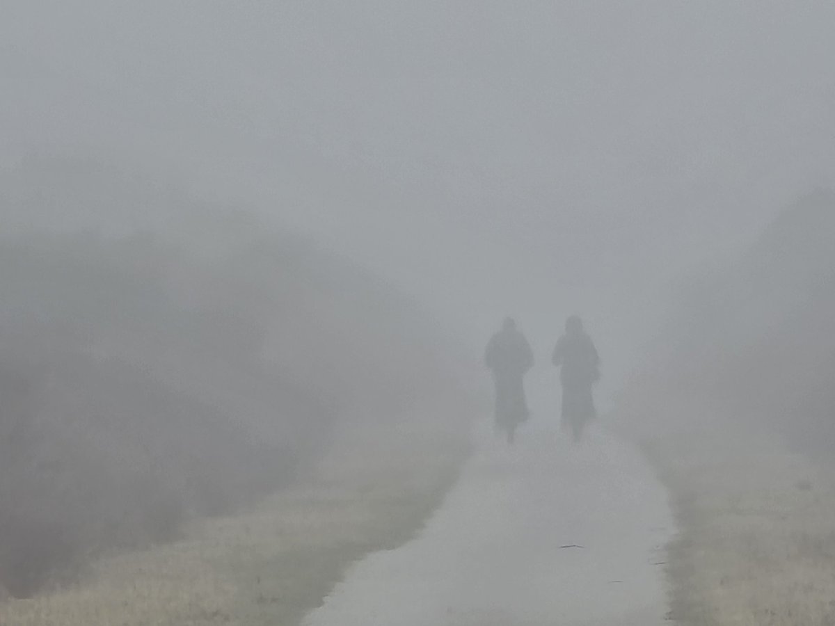 Simon Westerhof tweet media