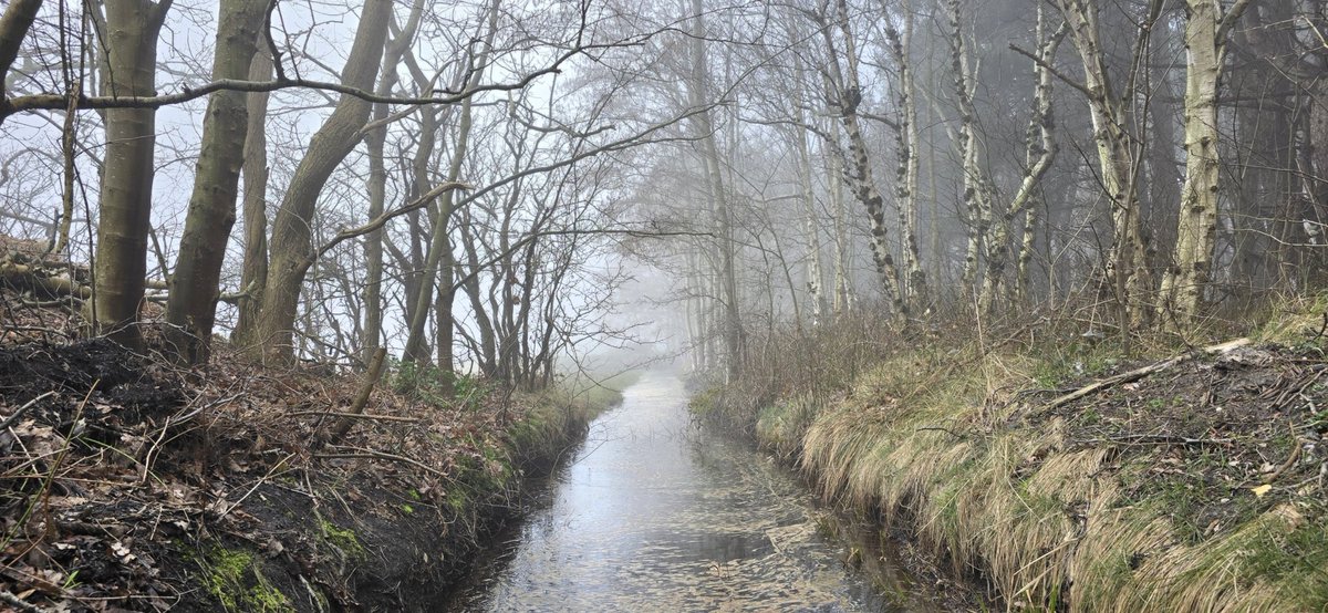 Simon Westerhof tweet media