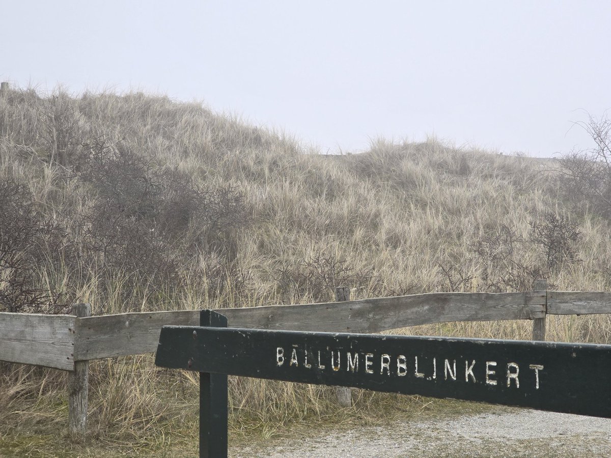 Simon Westerhof tweet media