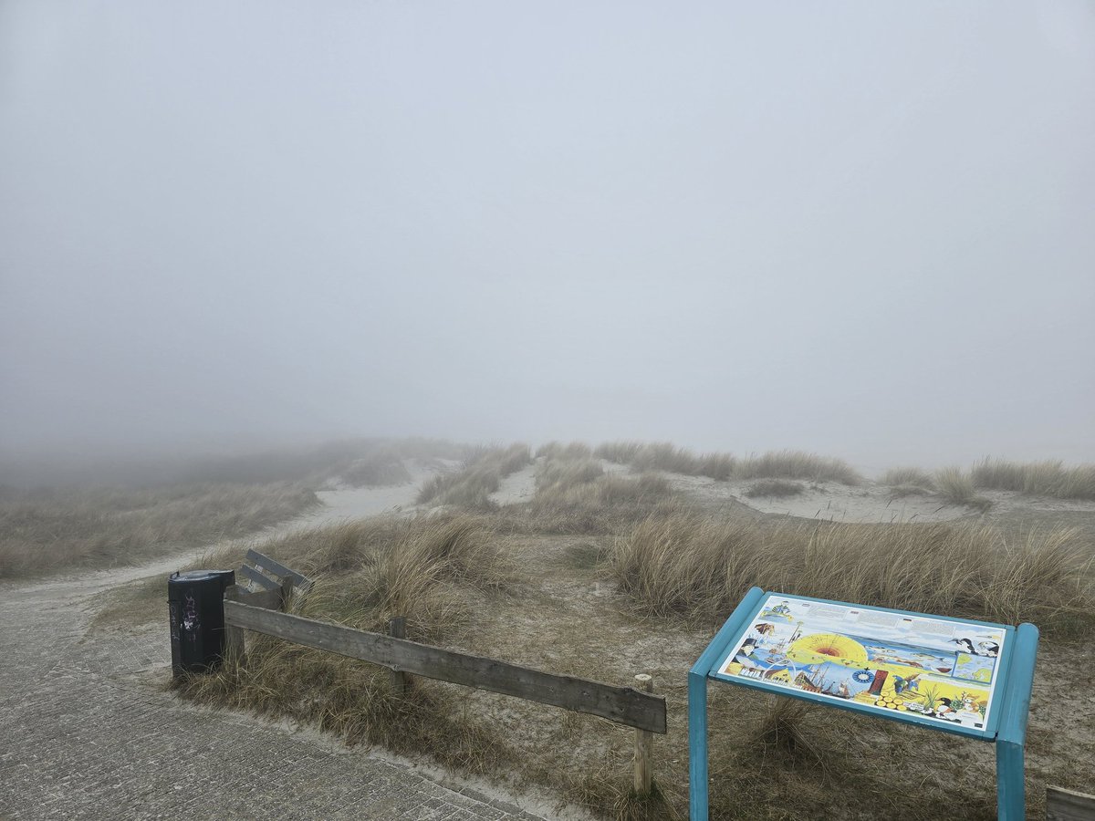 Simon Westerhof tweet media