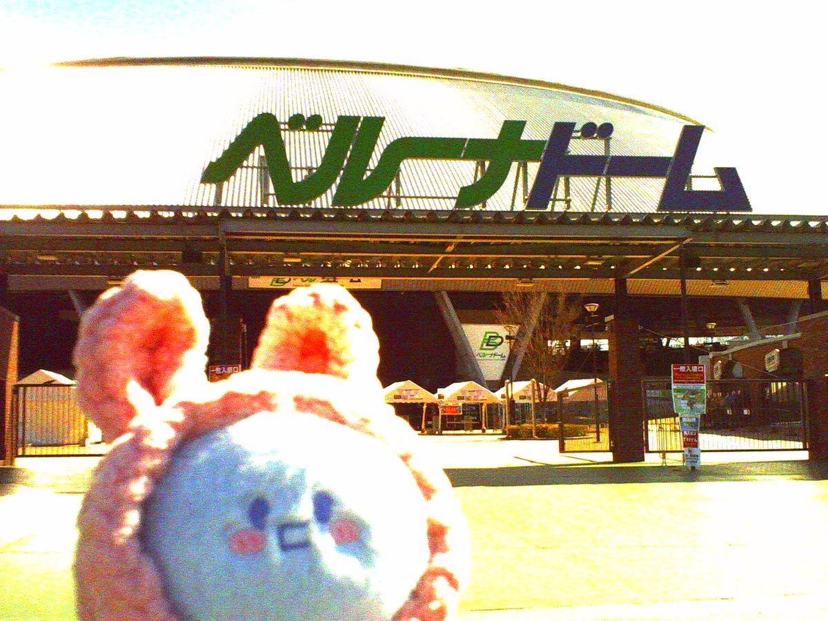 🥕びゅう🥕 tweet media