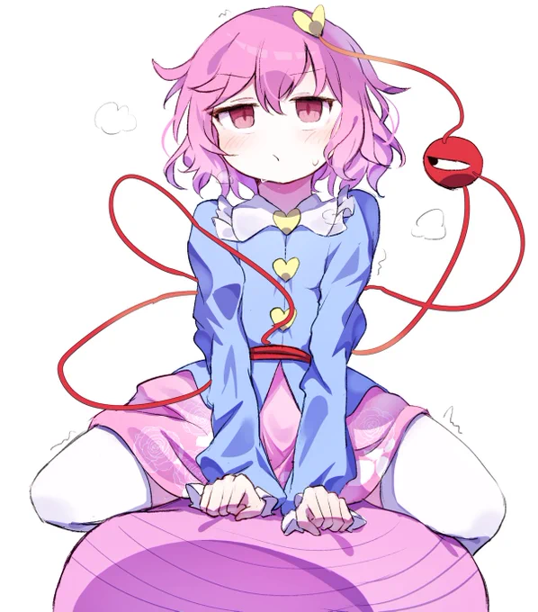 バランスボールするだけのさとり