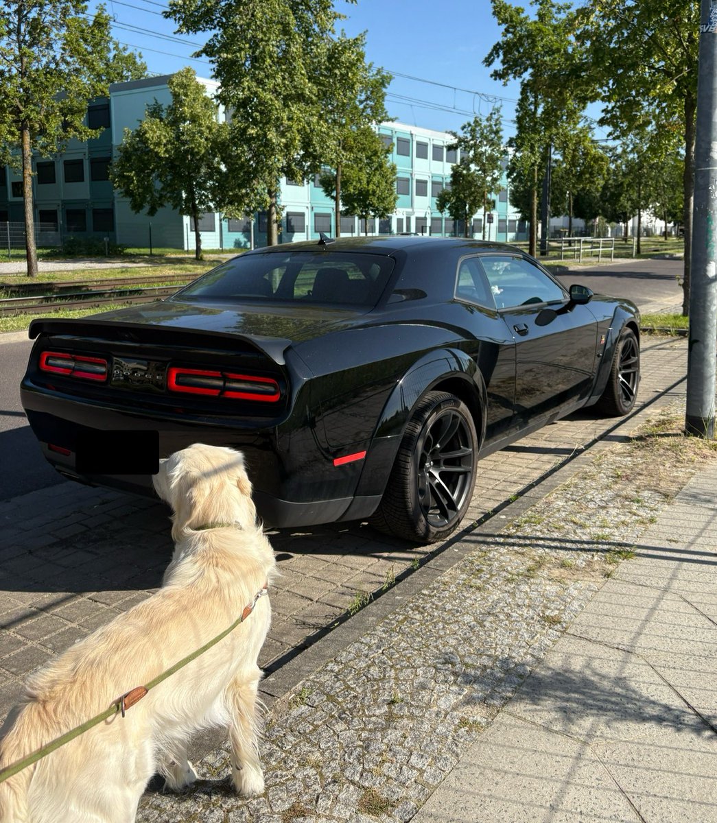 Lola ♡ tweet media