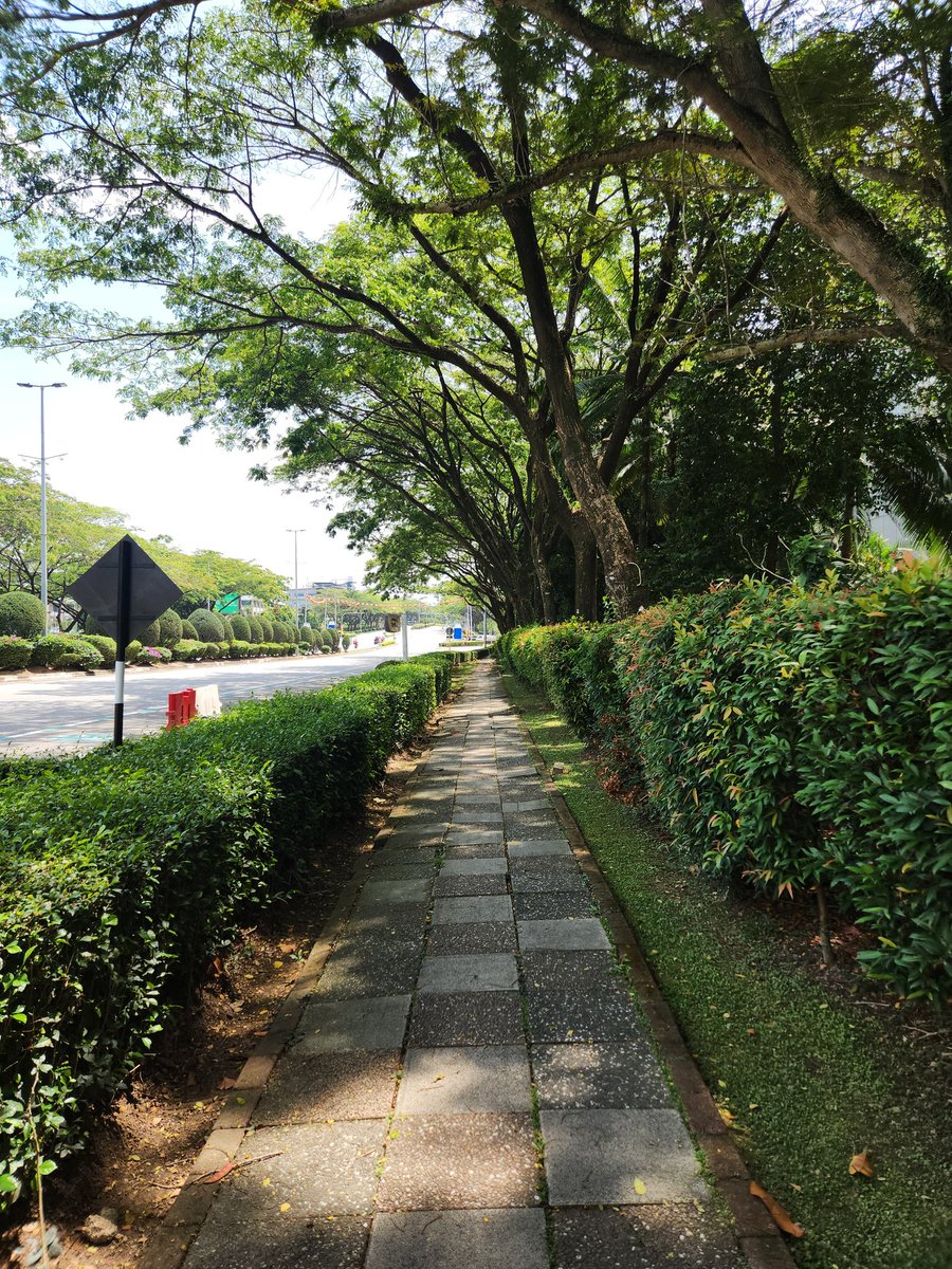 Shihab🇧🇩 tweet media