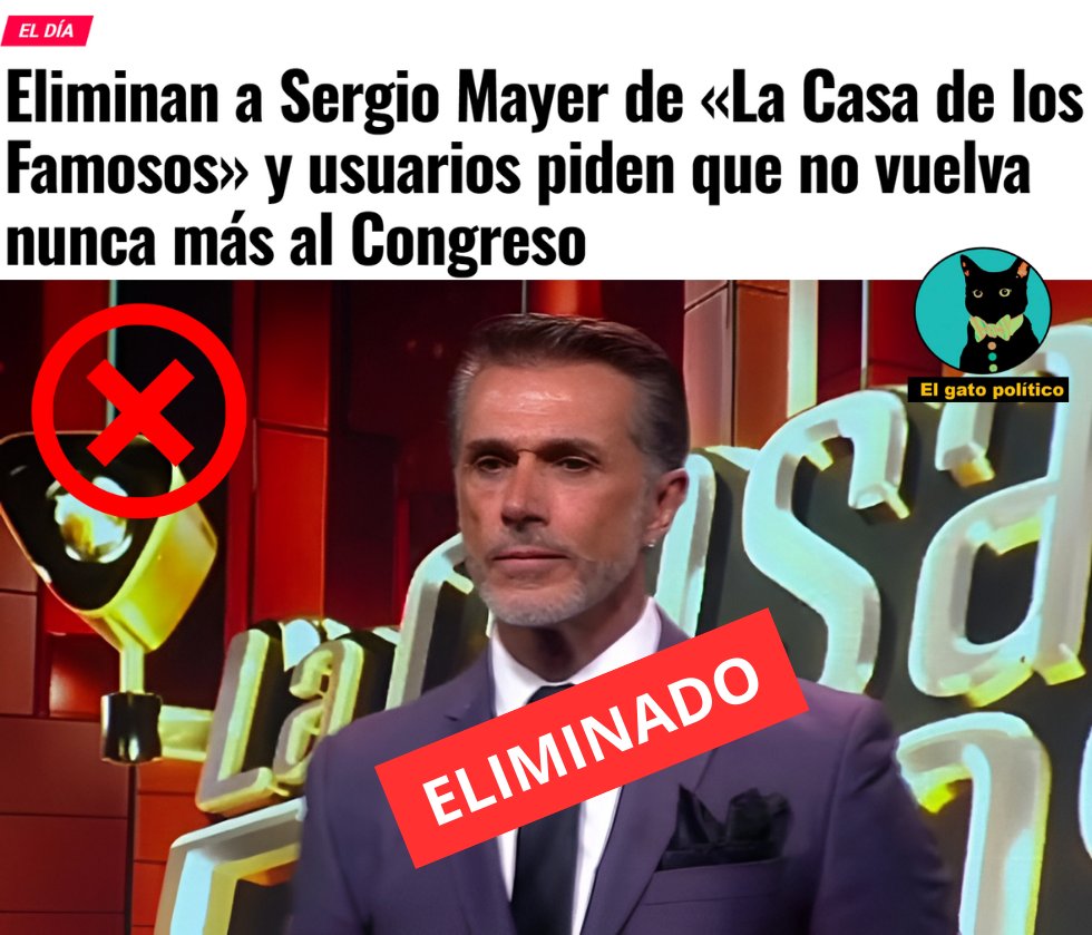 El gato político tweet media