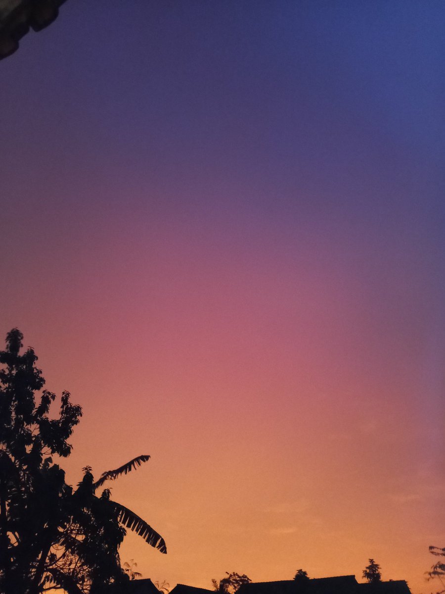 ikan badyut tweet media