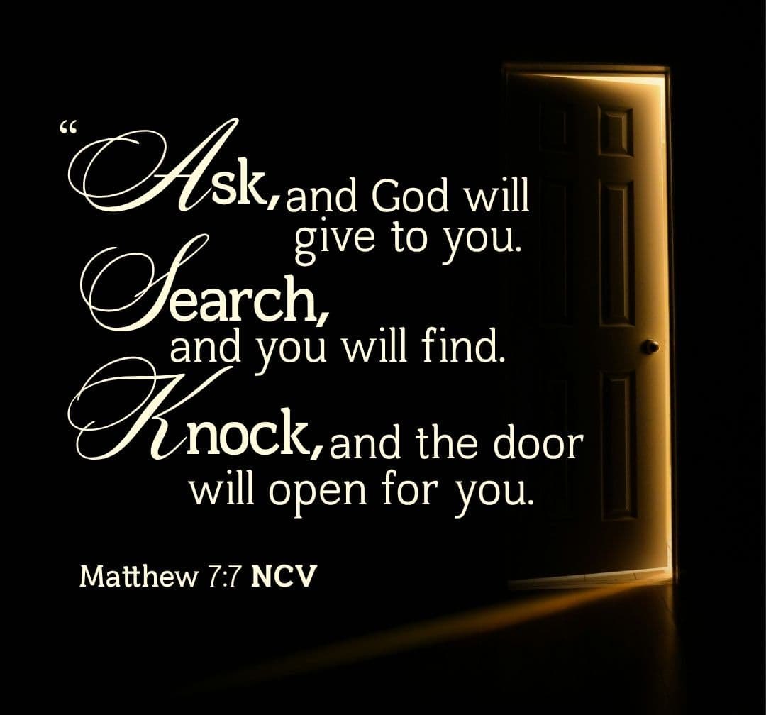 Susan Borg tweet media