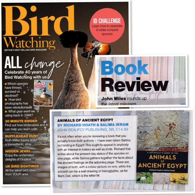 John Beaufoy Publishing tweet media