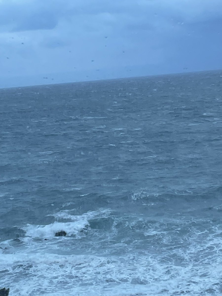 IVY🔜퍼리조아2026 tweet media