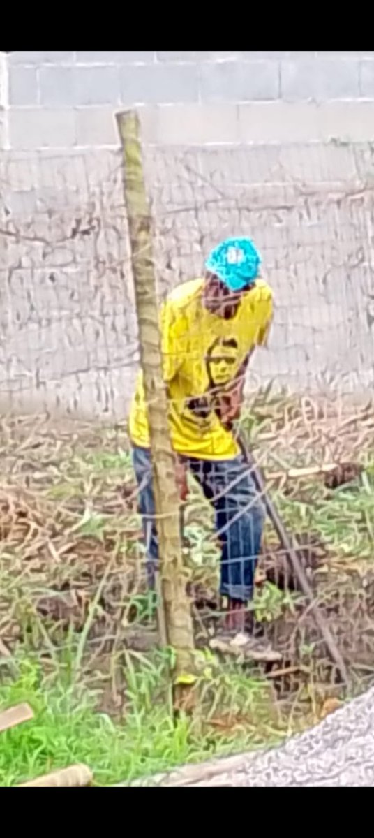 GorilaRobot's tweet photo. Bolsonaro, o povo estará sempre com você, o sonho de um país melhor ainda não acabou!!
#bolsonarolivre https://t.co/MSEb48vwMR
