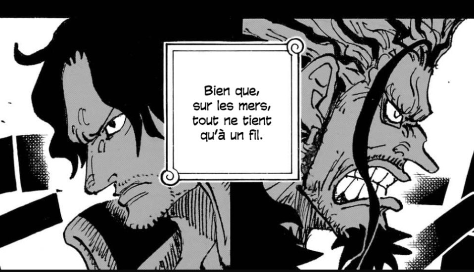 Jojo D. Gaucho 🏴‍☠️🇵🇸 tweet media