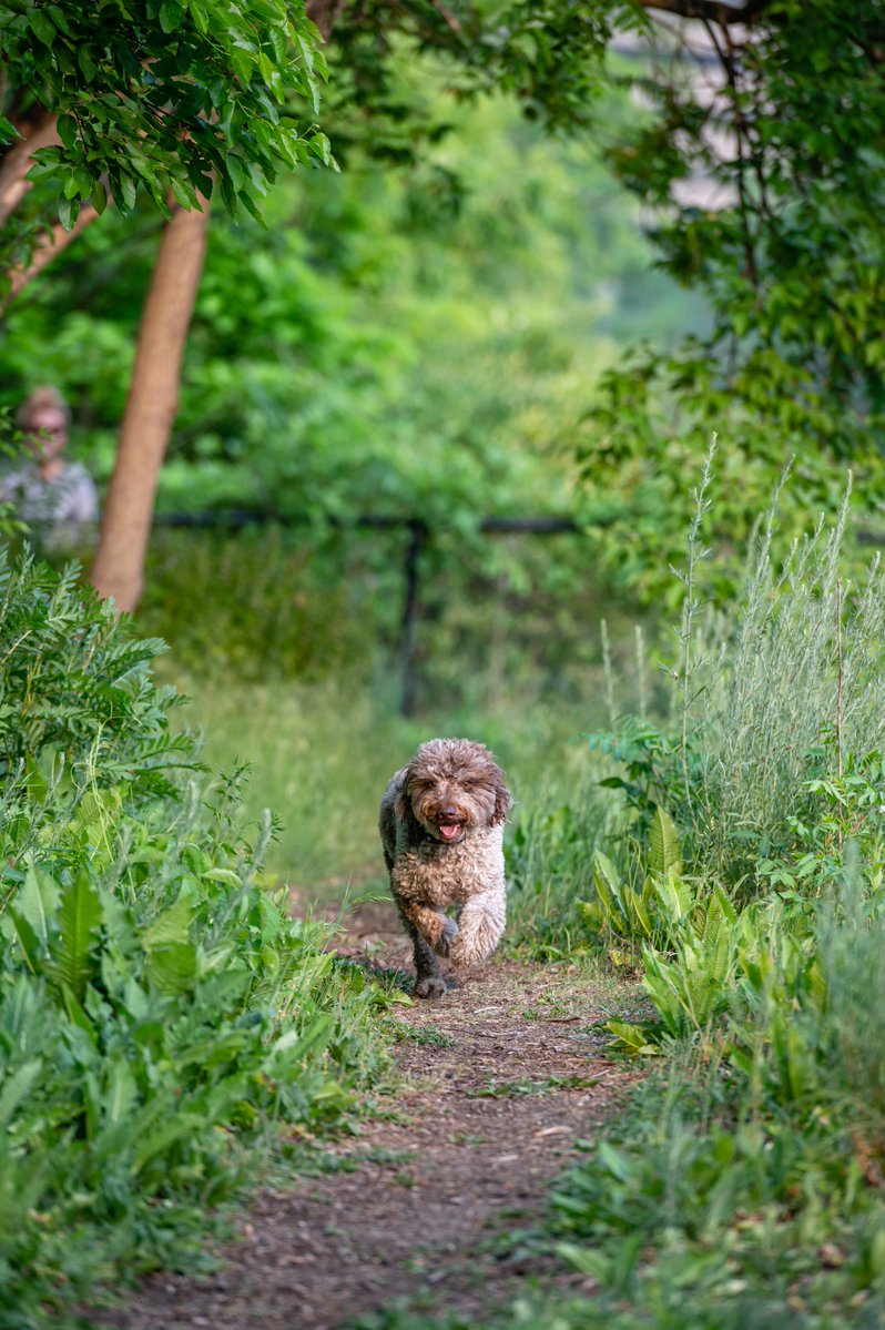 Ann Arbor Parks Rec tweet media