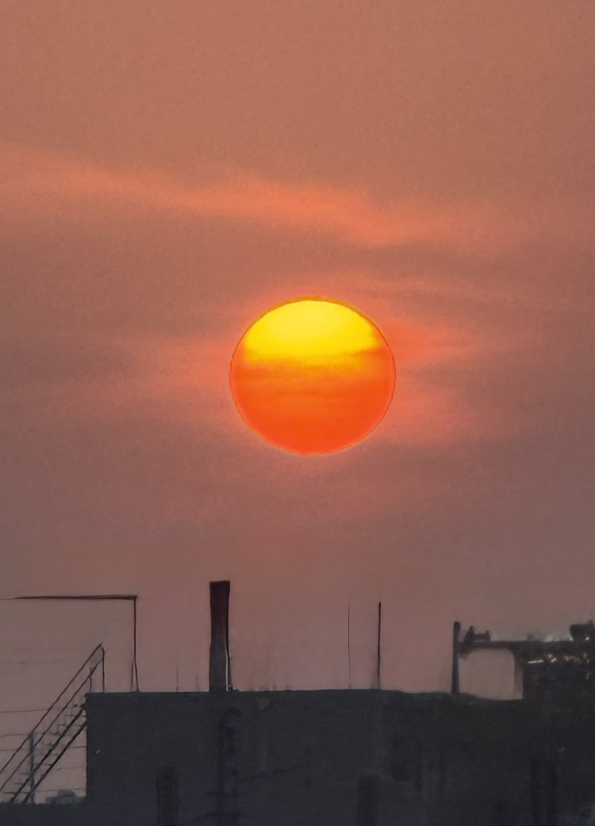 Swindler tweet media