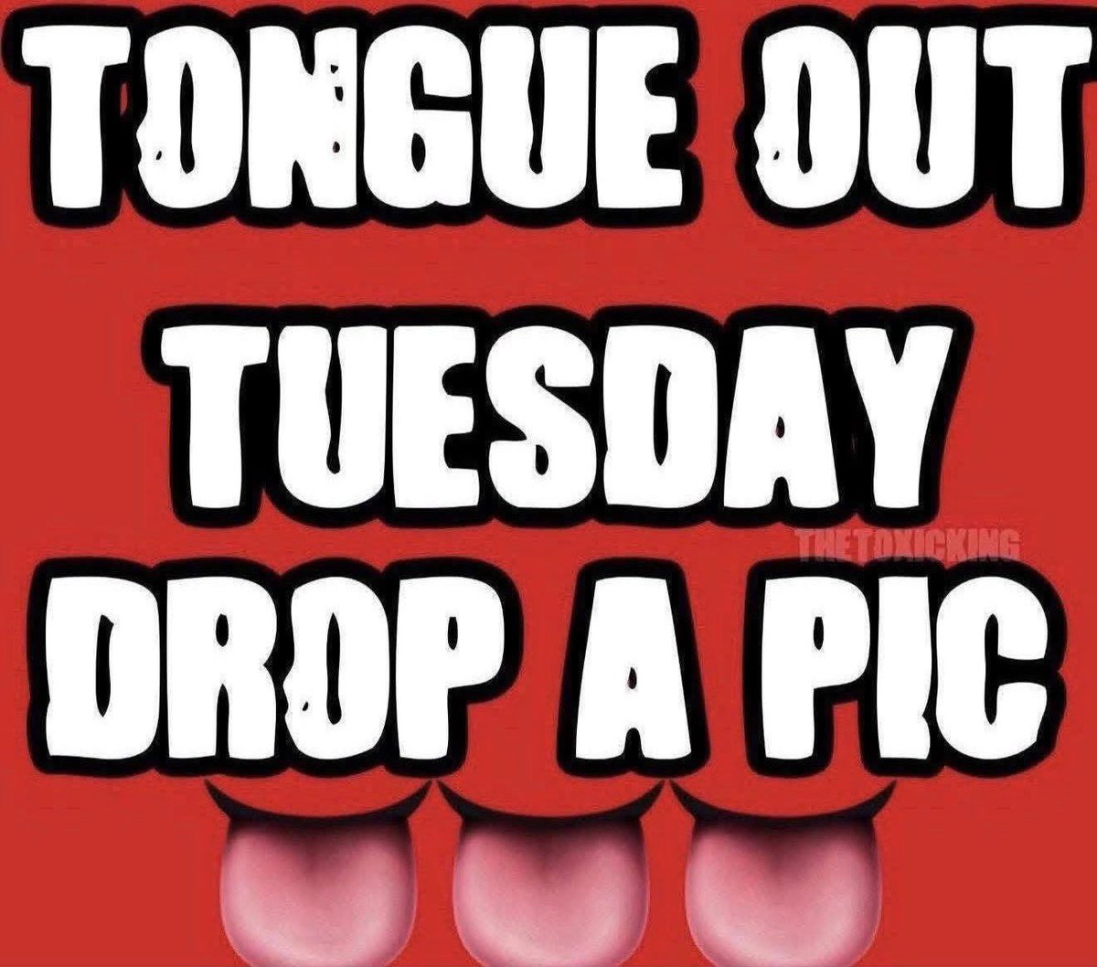 TheToxicKing tweet media