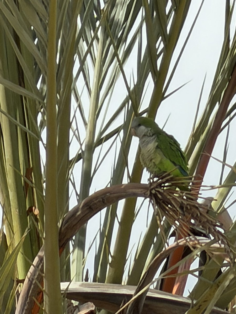 SeaWindowCraster tweet media