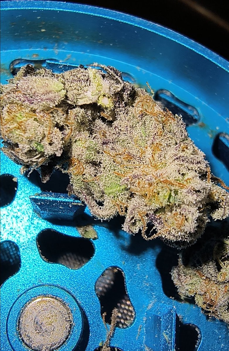 Marijuana shouldn't be a scheduled drug, 
it should be in the same category as coffee. 
It shrinks tumors, calms stomach ailments, lowers blood pressure, calms anxiety and anger, helps people think clearly and be creative, it brings people together. 
Fuck the government