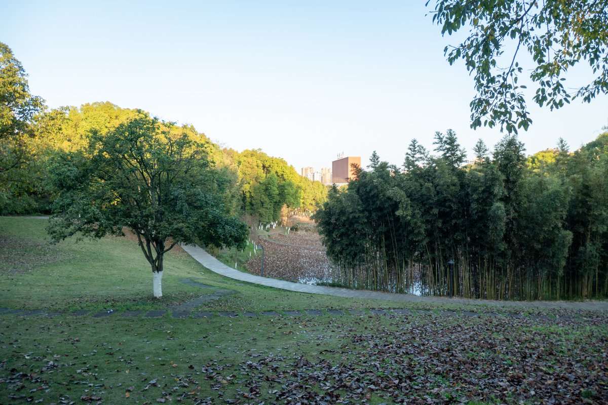 renhongji1990's tweet image. 今天的校园，下课时间段一教旁人挤人～
到了荷苑落日还剩一点～
#CQU