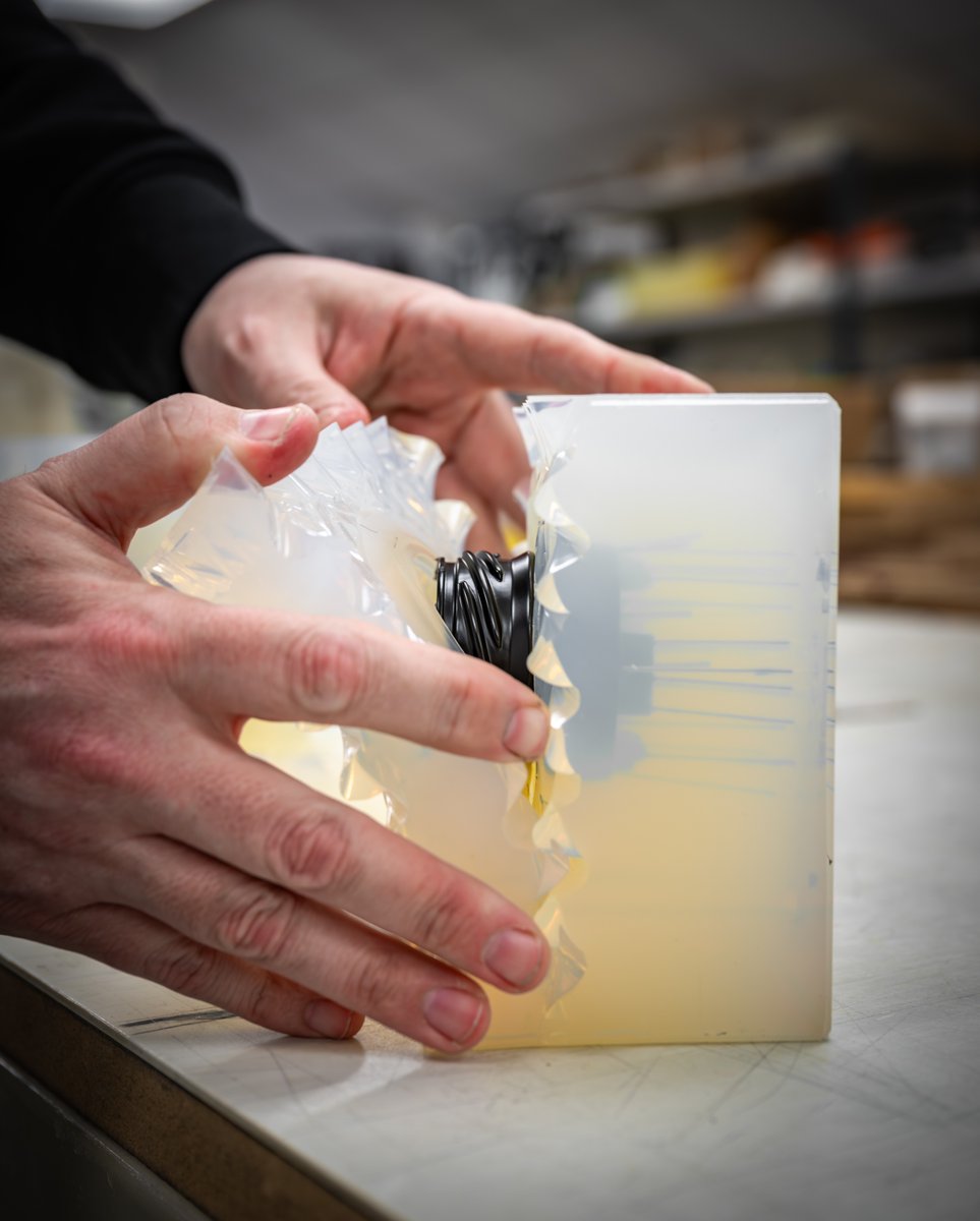 Ogle Models tweet media