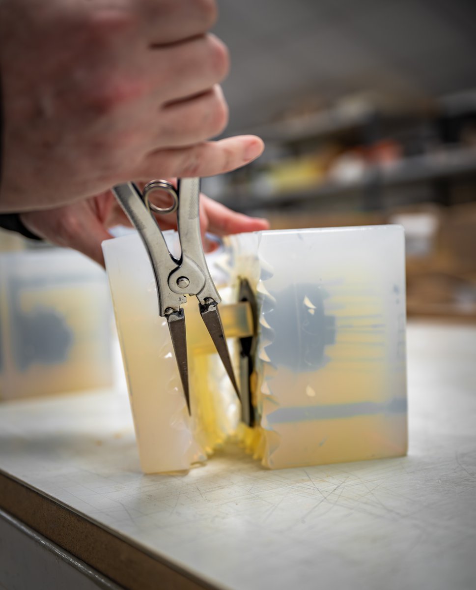 Ogle Models tweet media