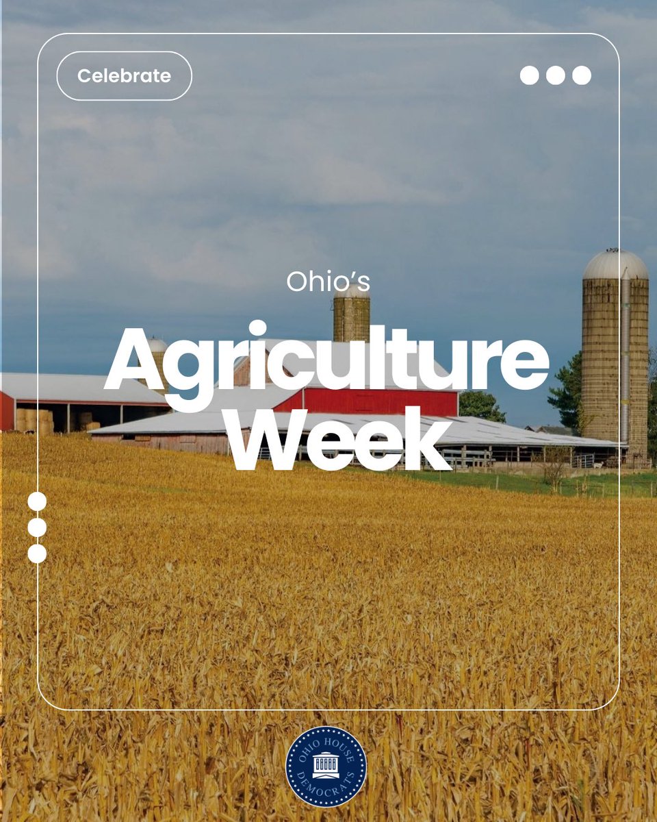 Rep. Joe Miller tweet media