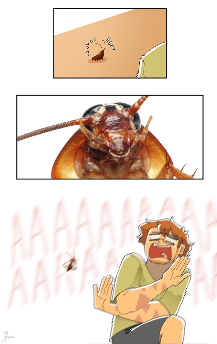 SaltyPokerFace🦉🦉🦉HOOT HOOT HOOT HOOT HOOT HOOT tweet media