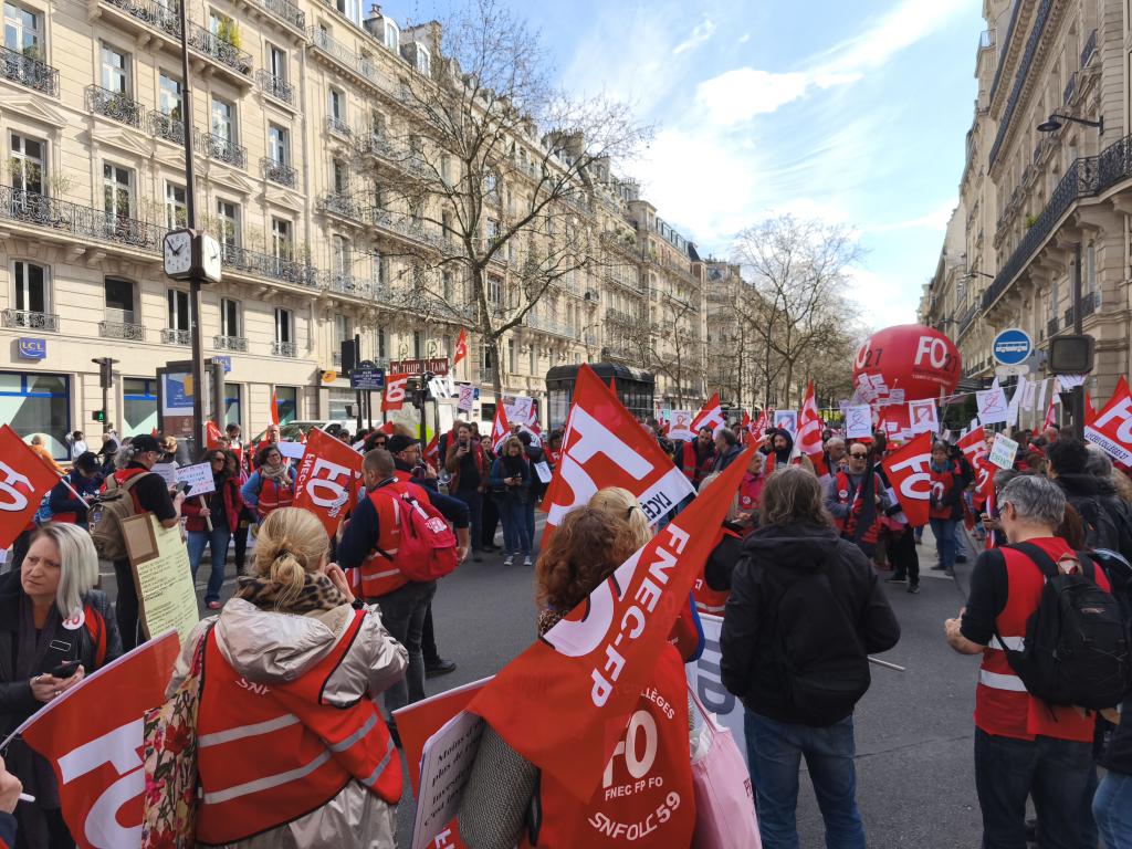 FGF FO 35 tweet media