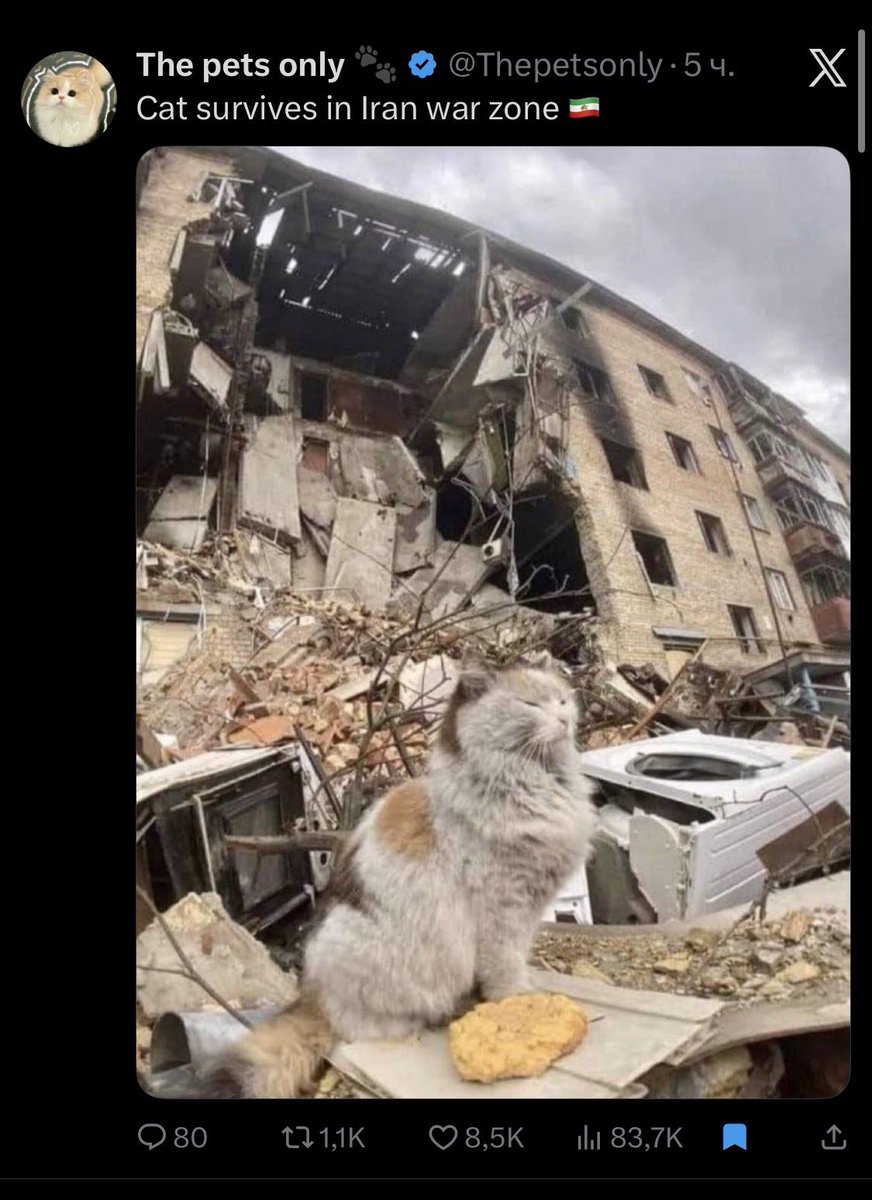 Hugo_StiglitzUA's tweet photo. How can you show the horrific shelling of miserable Iranians 🇮🇷? 

Just take a photo of Ukraine 🇺🇦 in 2022-2026, when kind and good Russian President Putin who destroyed thousands of Ukrainian homes and their inhabitants with Iranian drones «Shahed-136 🇮🇷»

It's so simple! https://t.co/jA2RjvuH5o