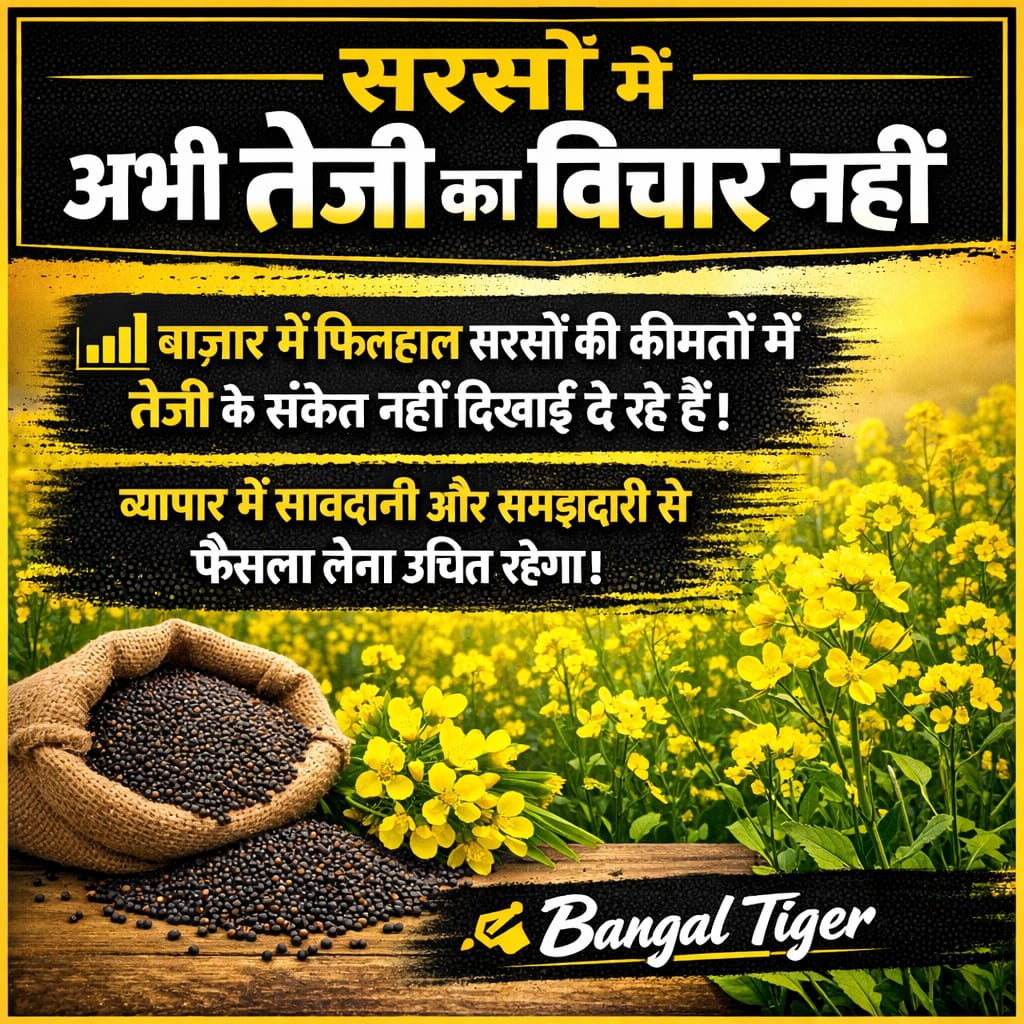 सरसों में अभी तेजी नहीं है