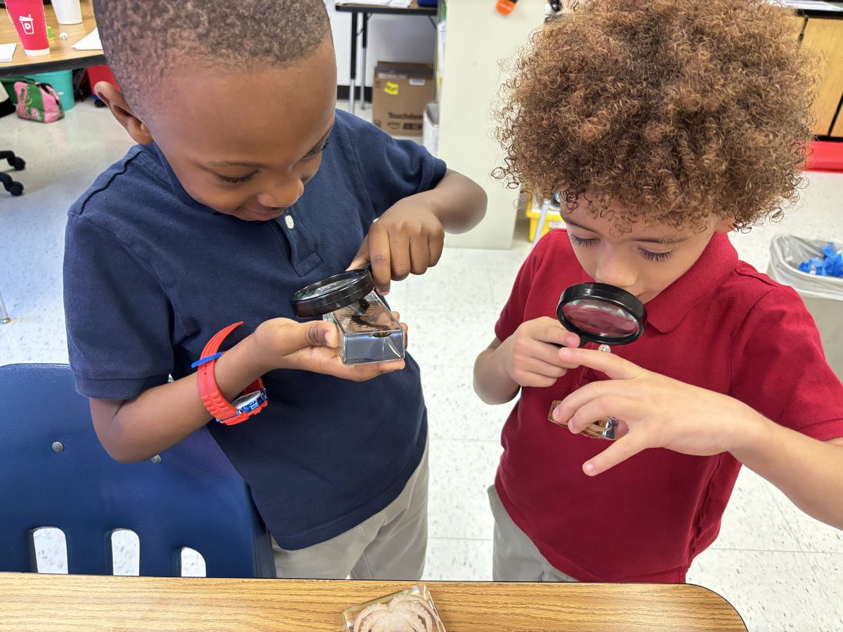 DR. KENYA GREER tweet media