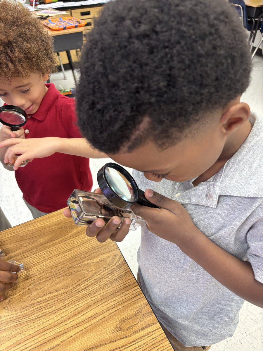 DR. KENYA GREER tweet media