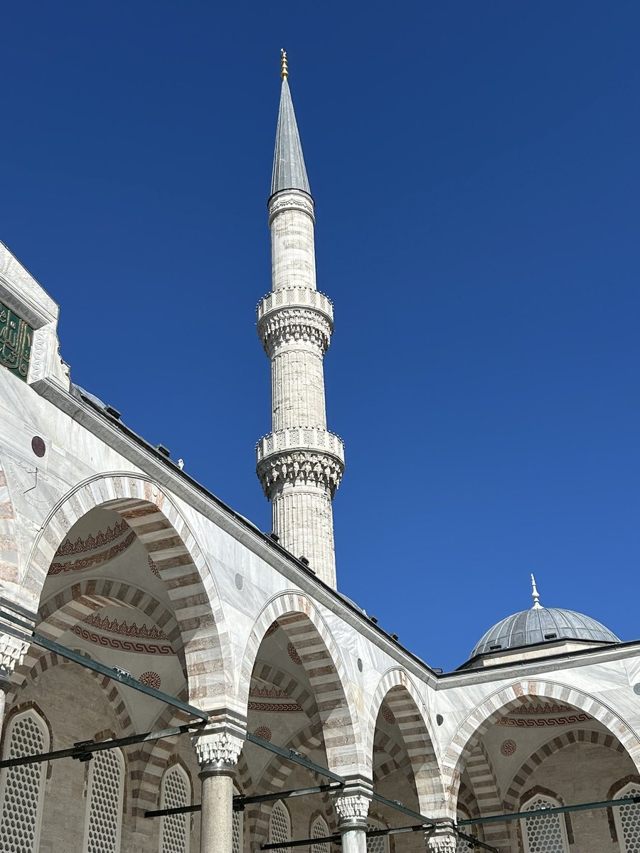 Lewis Steele tweet media