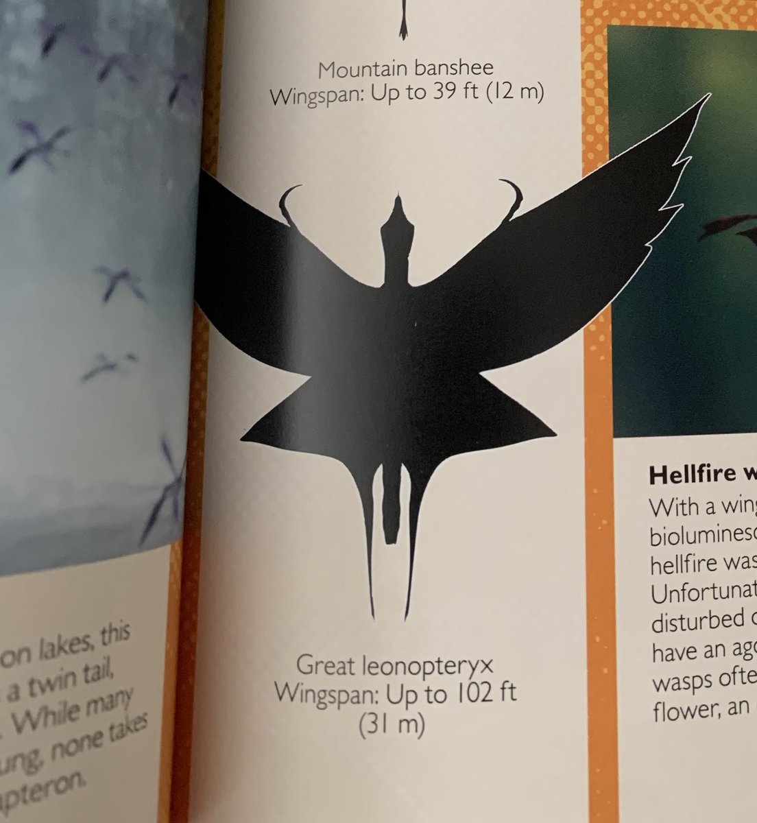 ᦓꪮꪶ tweet media